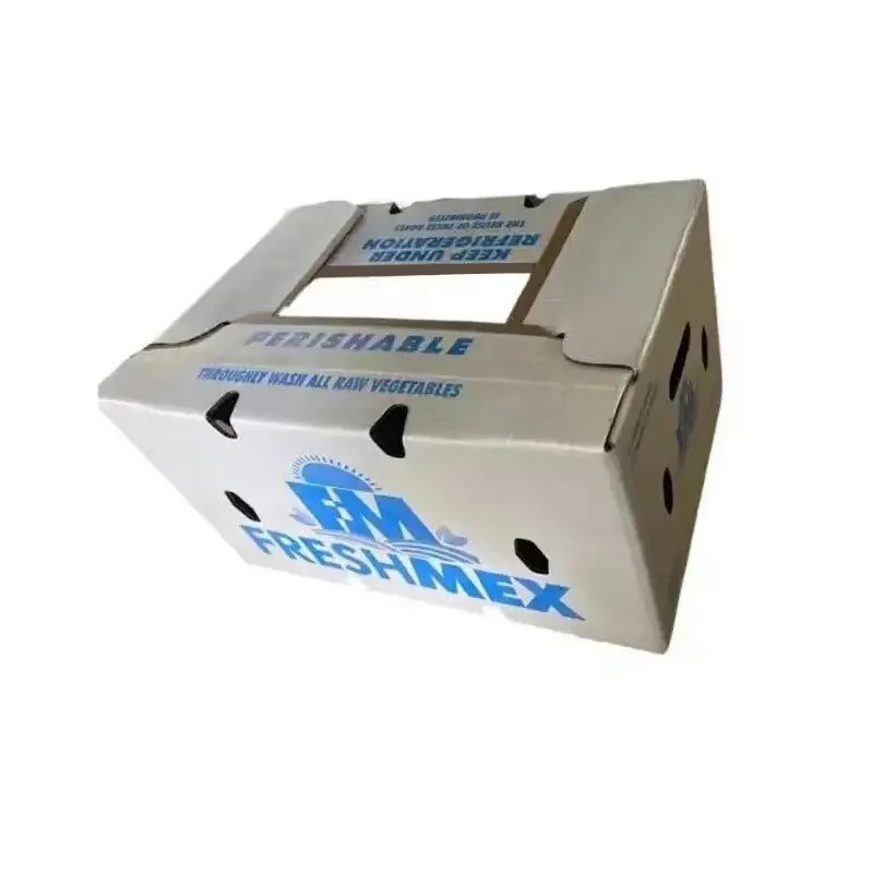 لماذا تختار صندوق ورق الشمع القابل للتحلل الحيوي لحلول التغليف المستدامة؟